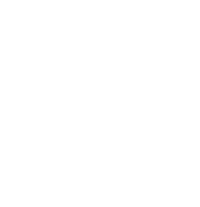 business-security-icon